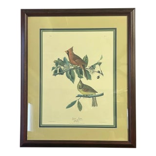 Vintage Audubon Society Cardinal & Grosbeak Framed Print - 24x29 Bird Art For Sale