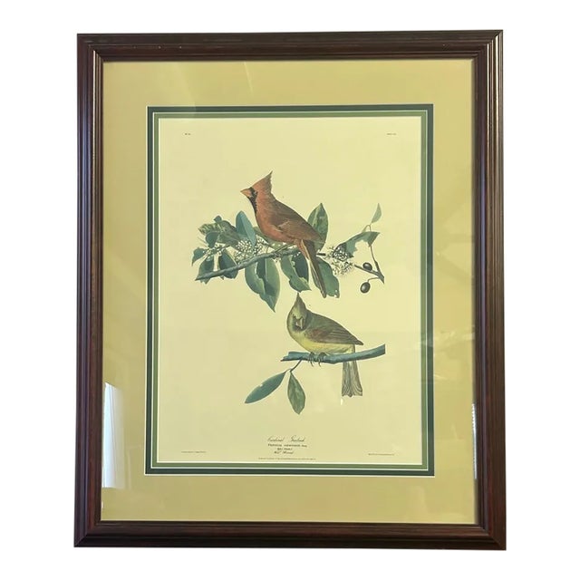 Vintage Audubon Society Cardinal & Grosbeak Framed Print - 24x29 Bird Art For Sale