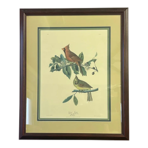 Vintage Audubon Society Cardinal & Grosbeak Framed Print - 24x29 Bird Art