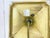 Vintage Table Lamp from Kaiser Leuchten, 1970s For Sale - Image 10 of 11