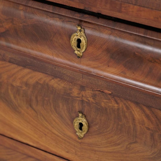 Mahogany Chest of Drawers with Four Drawers, 1880s For Sale - Image 5 of 12