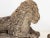 Circa 1920 English Pair of Large Recumbent Concrete Lions For Sale - Image 11 of 12
