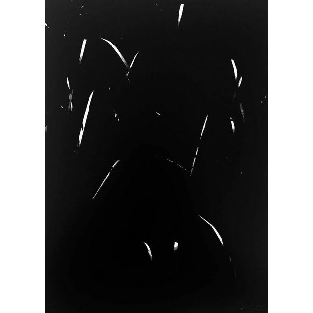 Lucien Clergue, Secret Camargue, 1976, Photogravures, Set of 2 For Sale - Image 4 of 6