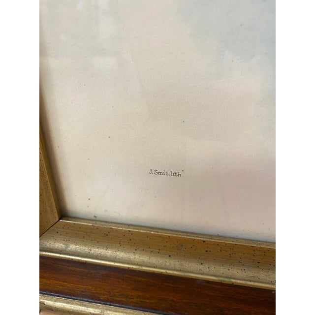 Framed Lithograph Paradisea Minor by J.Smit.lith For Sale - Image 11 of 13