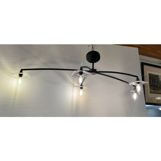 Black Restoration Hardware Lily Smoke Glass Chandelier For Sale - Image 8 of 12