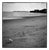 Paul Cooklin, Photograph-Bwws8ugj, Edition of 50 For Sale