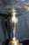 Metal Silver-Plated and Cut Glass Tazza from WMF, 1910-1924 For Sale - Image 7 of 10