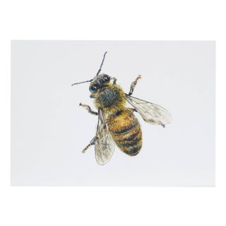 Juris Utans, Bee at Rest, 2021, Mixed Media on Paper For Sale