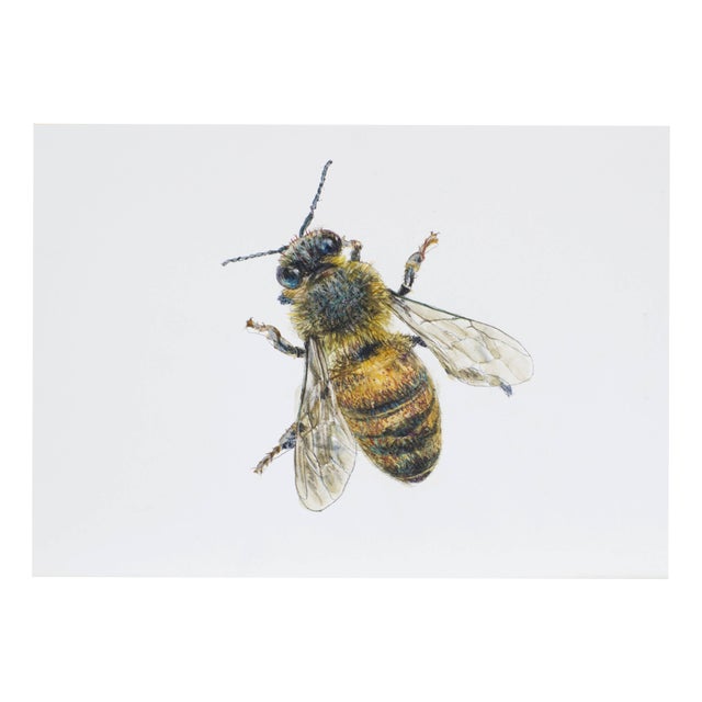Juris Utans, Bee at Rest, 2021, Mixed Media on Paper For Sale