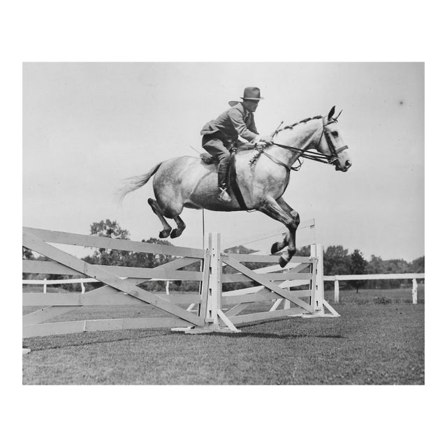 1933 Equestrian Photograph of Silver Fizz For Sale