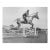 1933 Equestrian Photograph of Silver Fizz For Sale