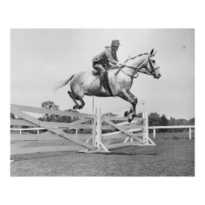 1933 Equestrian Photograph of Silver Fizz