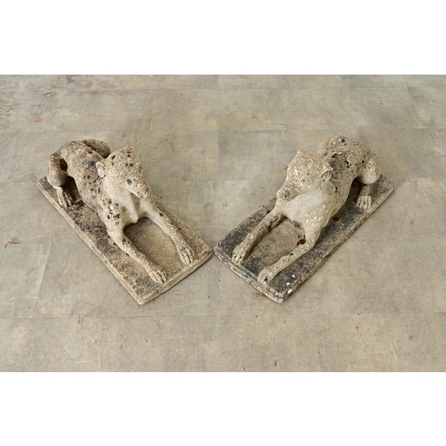 Early 20th Century English Pair of Cast Stone Whippet Garden Statues For Sale - Image 10 of 12