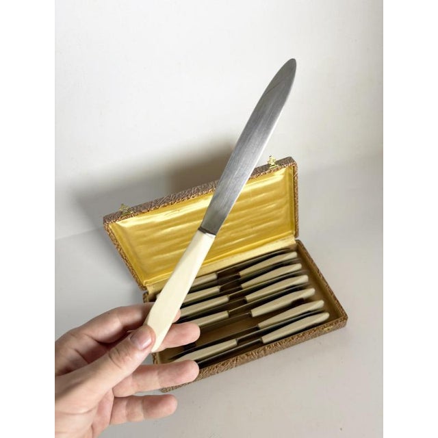 Metal Bakelite Knives, France, 1970s, Set of 12 For Sale - Image 7 of 14