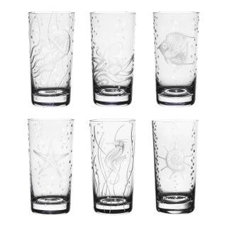 ARTEL Sea Life Highballs, Clear - Set of 6 For Sale