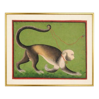 Photograph of a Monumental Portrait of a Monkey by Rajasthan, Mewar, Udaipur Watercolor Print For Sale