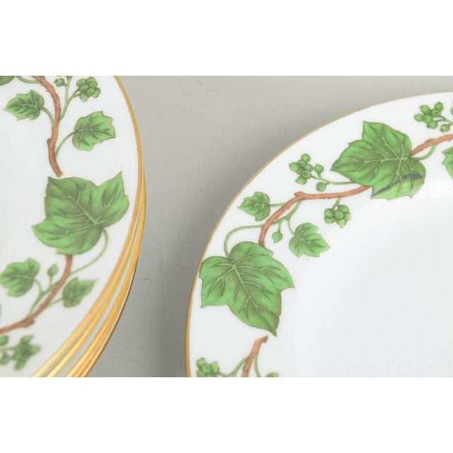 Porcelain Ivy Series Plates from Crown Staffordshire, England, 1970s, Set of 6 For Sale - Image 3 of 5