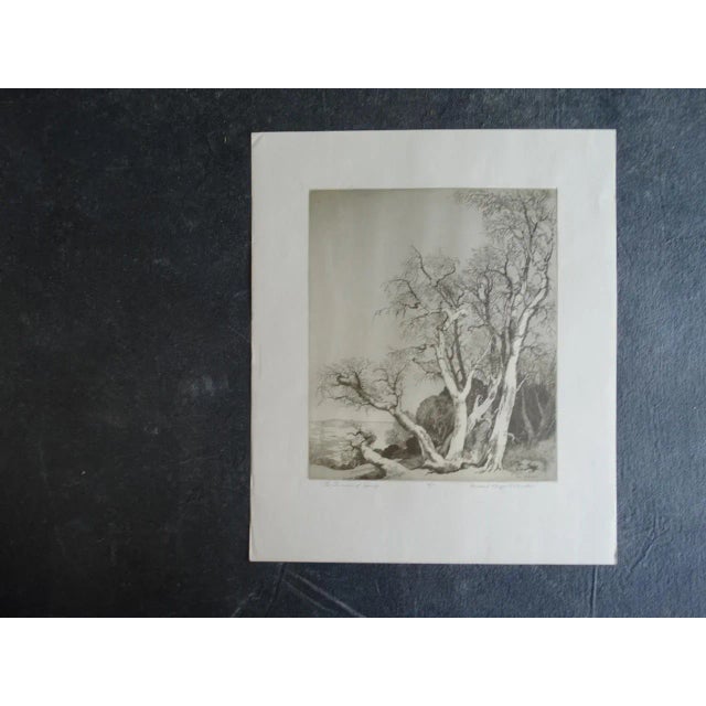 Paper Mildred Bryant Brooks "The Promise of Spring" Etching For Sale - Image 7 of 7