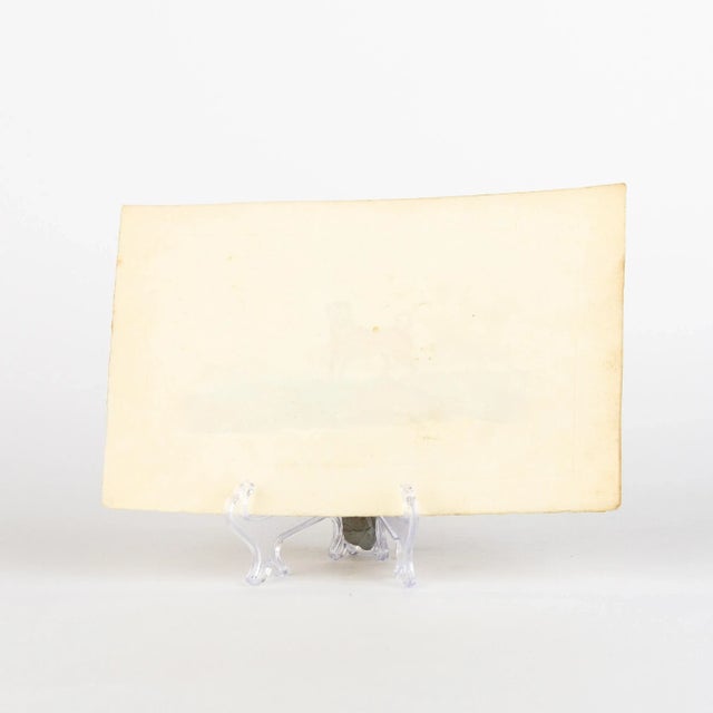 E. Donovan & F.C. & J. Rivington, Nature Illustration, Feb 1st 1820, Hand-Colored Copperplate Engraving For Sale - Image 5 of 6