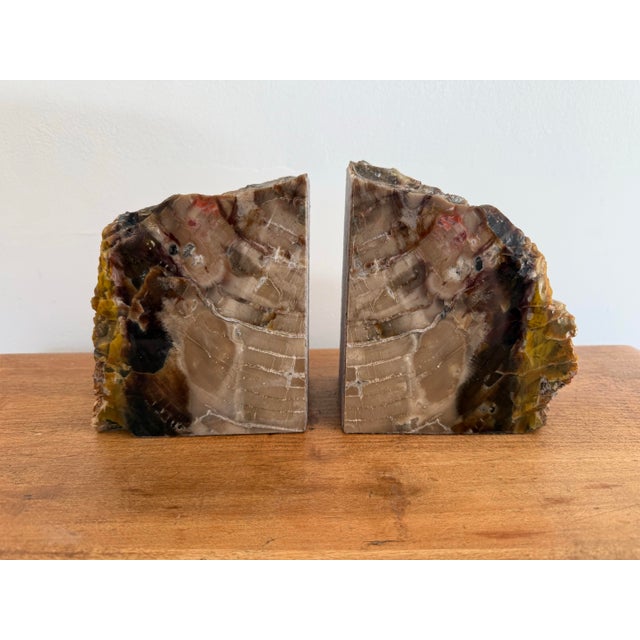 Large Petrified Wood Stone Bookends For Sale - Image 6 of 6