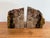 Large Petrified Wood Stone Bookends For Sale - Image 6 of 6
