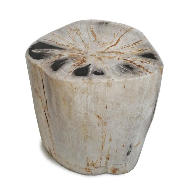 Contemporary Petrified Wood Stool For Sale - Image 3 of 6
