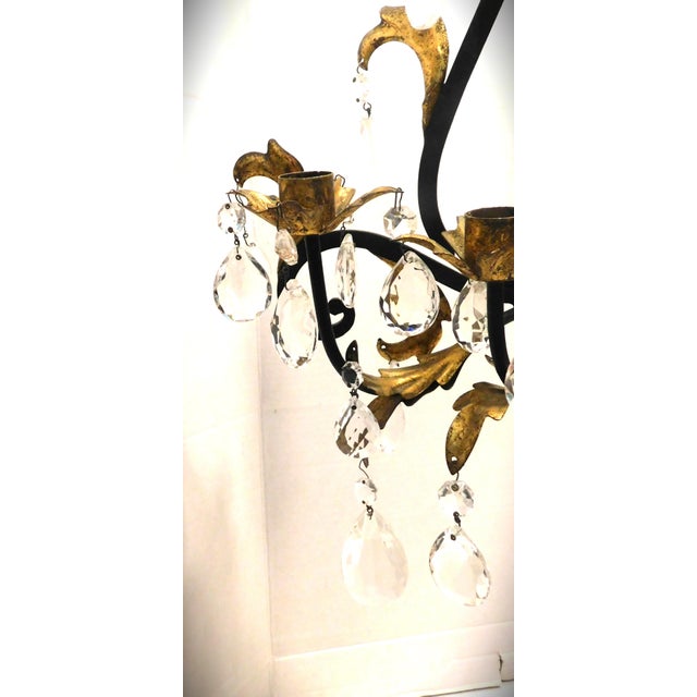 Black and Gold Gilt Metal Floral Wall Sconce, Teardrop Crystals, Candleholders For Sale - Image 9 of 14
