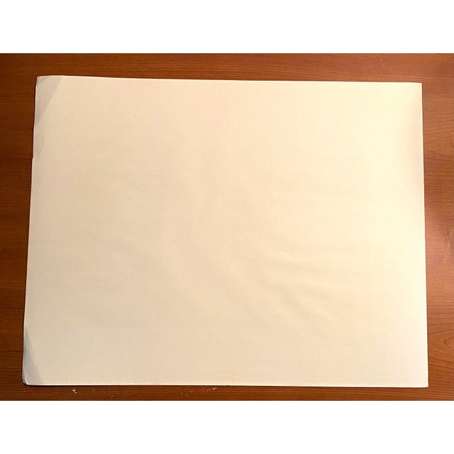 1869 Bird's-Eye View Map of Hannibal, Missouri Reproduction For Sale In Portland, OR - Image 6 of 11