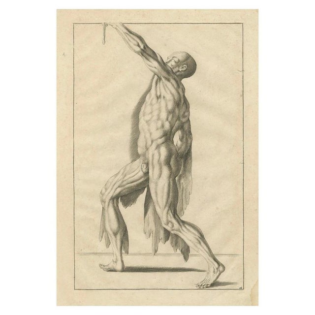 After Gérard de Lairesse, Anatomical Male Figure Reaching Upward, 1745, Paper For Sale - Image 10 of 10