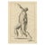 After Gérard de Lairesse, Anatomical Male Figure Reaching Upward, 1745, Paper For Sale - Image 10 of 10