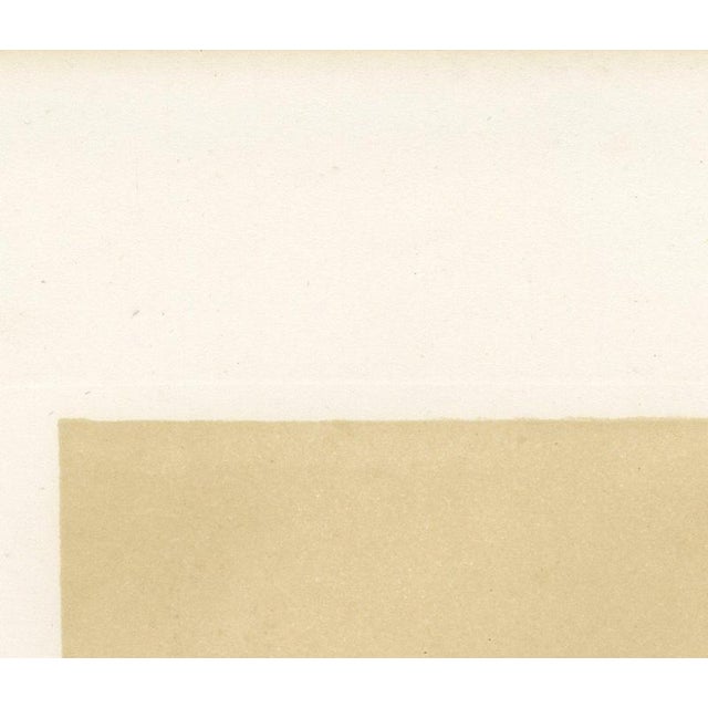 Paper After Isidore Bonheur, Garonnais Bull, , 1873, Paper For Sale - Image 7 of 12