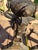 Mission Vintage Cast Iron Andirons For Sale - Image 3 of 9