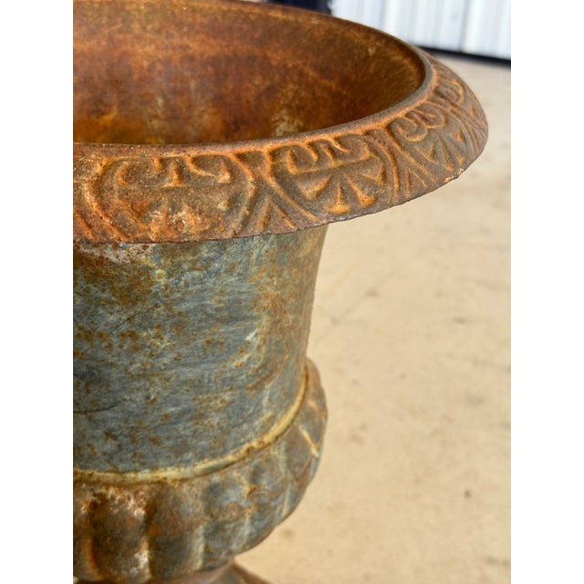 Early 20th Century French Cast Iron Medici Urn Planters – Pair For Sale - Image 11 of 12