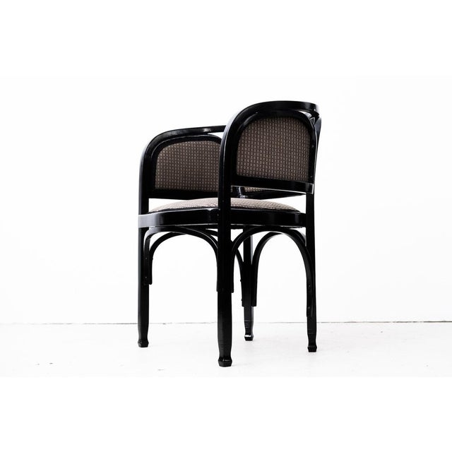 Original Art Nouveau Armchair Model 716/F by Gustav Siegel for Jacob & Josef Kohn, 1901 For Sale - Image 11 of 18
