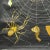 1960s Vintage Cross Spider Araneus Marmoreus Rollable Wall Chart by Jung Koch Quentell For Sale - Image 5 of 7