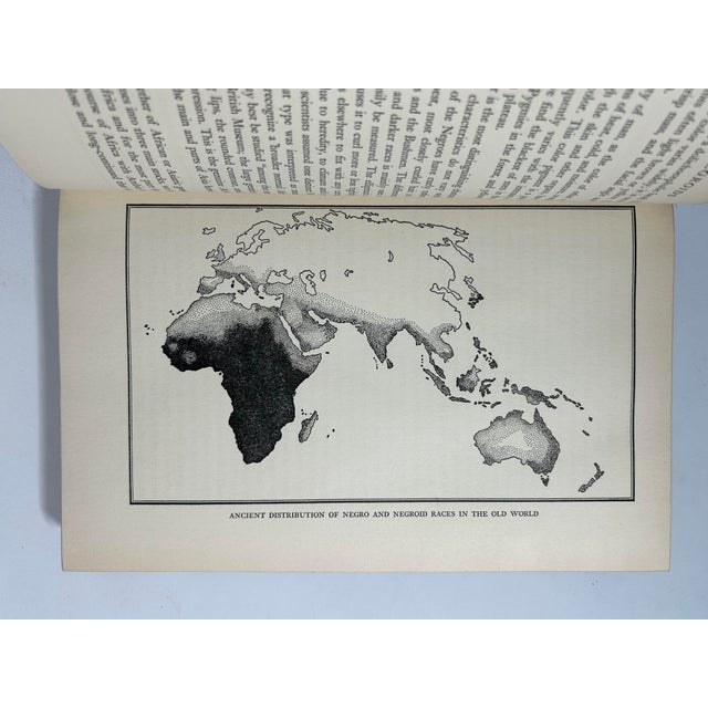 1930s Illustrated Quarto Book, W. E. Burghardt's Du Bois's Black Folk Then and Now - 2 Pieces For Sale - Image 10 of 14