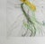 Dali La Joie De Vivre Hand Signed Numbered Etching Dali Archives Certified For Sale - Image 4 of 5