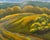 Contemporary Oil Painting "Landscape 3, Bath County" by Teresa DiMarco For Sale