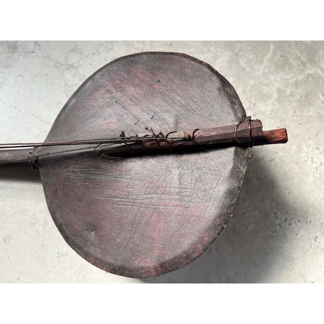 Antique African Folk Art Adungu 5 String Gourd Harp From Kenya - Rare For Sale In Tampa - Image 6 of 7