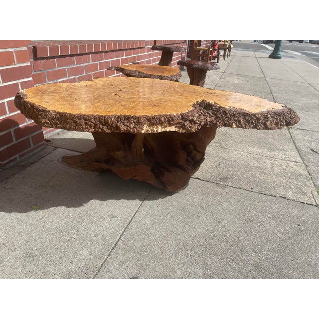 Birdseye Maple Slab Coffee Table Live Edge Mid Century Modern Chairish