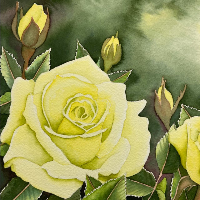 Traditional Jo Cartwright Yellow Roses Watercolor For Sale - Image 3 of 6
