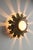 Sunflower Wall Light with Textured Glass Diffuser For Sale - Image 10 of 11