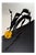 KARDESCH, Mirror Black, Oil For Sale