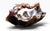 Carved from a single block of rich, highly polished olive wood, this stunning bowl showcases a glossy dark brown finish,...