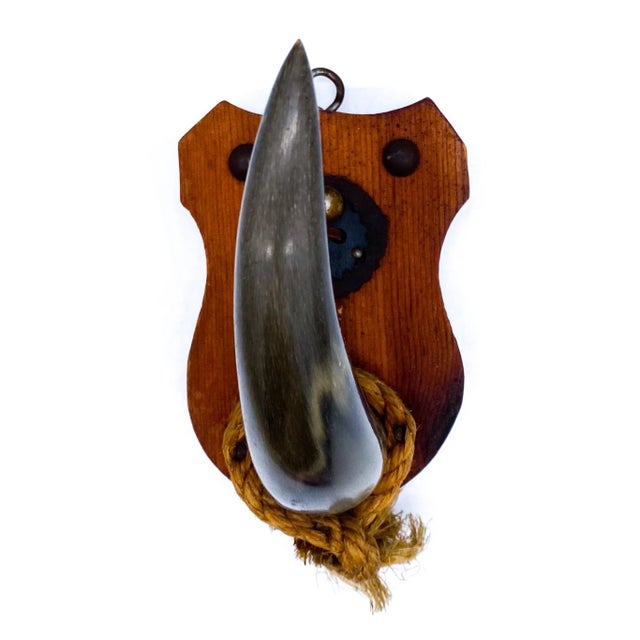 Late 20th Century Vintage Western Horn Wall Hook on Plaque – Rustic / Lodge For Sale - Image 5 of 10