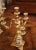 Pair of 19th Century French Louis XVI Gilt Bronze and Porcelain Candelabras For Sale In Dallas - Image 6 of 8