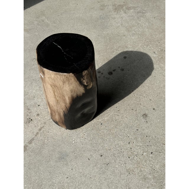 Wood Petrified Wood Side Table with Black Heart For Sale - Image 7 of 18