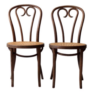 Vintage ZPM Radomsko Bentwood Chairs Pair For Sale