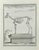 Françoise Guelard, The Skeleton, Etching, 1771 For Sale