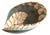 Mid-Century Modern Fornace Ferro Murano Style Art Glass Bowl in the Shape of a Sea Shell For Sale - Image 3 of 18